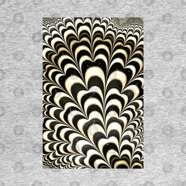 The Zebrafication by fascinating.fractals